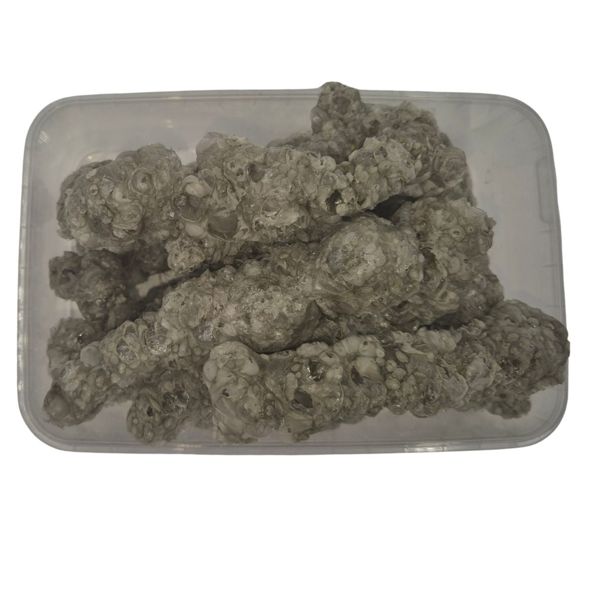 Сушені заморожуванням - крапельні слимаки