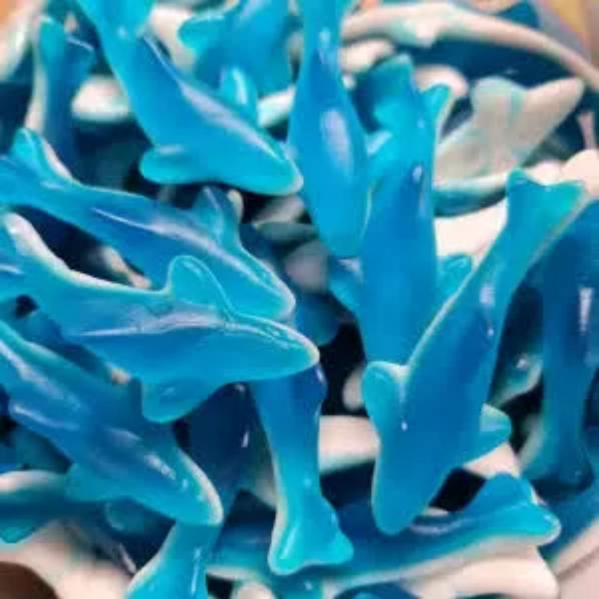 Shop Freeze Dried Blue Sharks Candy CCandy