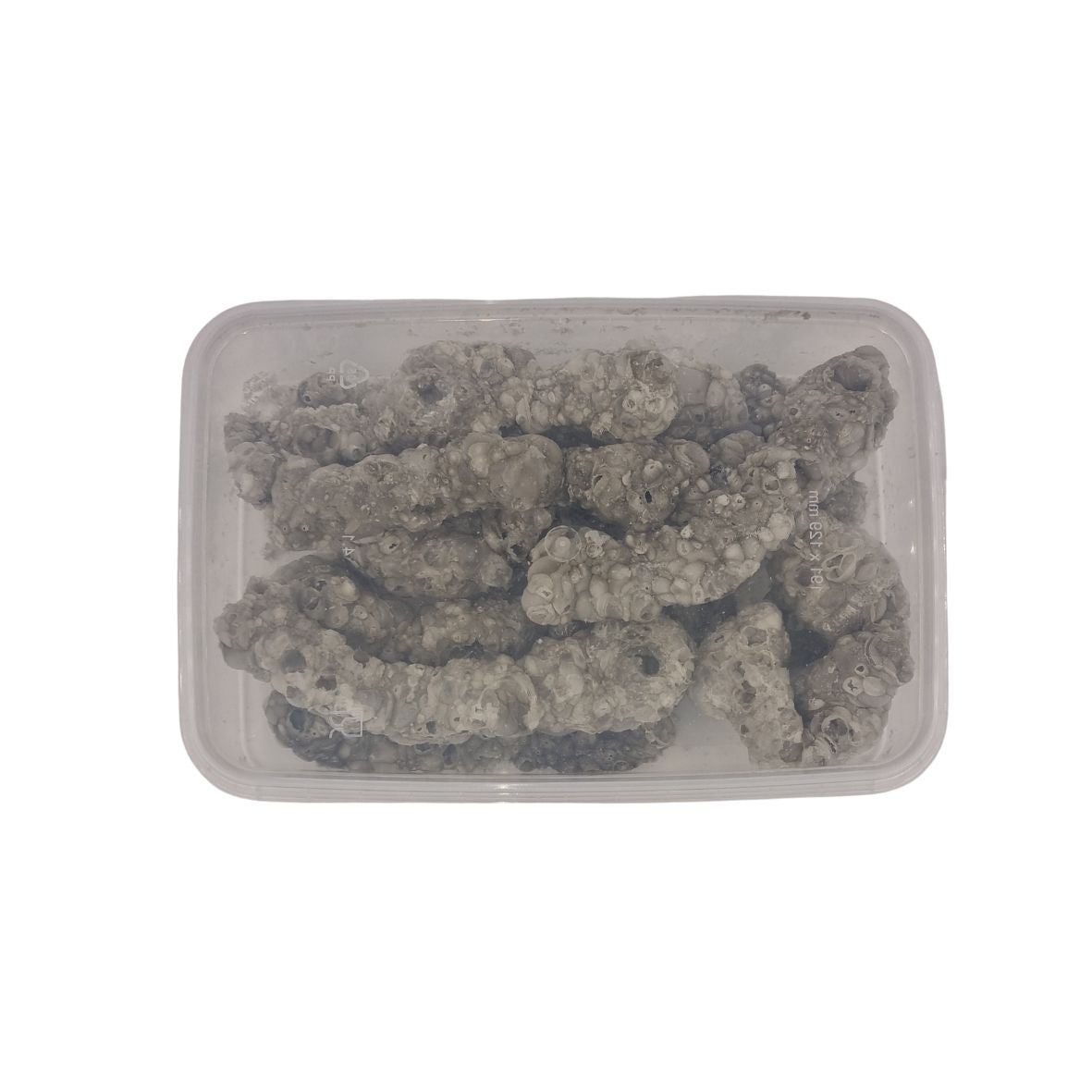 Shop Freeze Dried | Ccandy – CCandy
